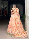 LNB Floral Tabby Silk Lehenga in Multicolor with Embossed Design and Lace Touch Up Front View - Shree Roop