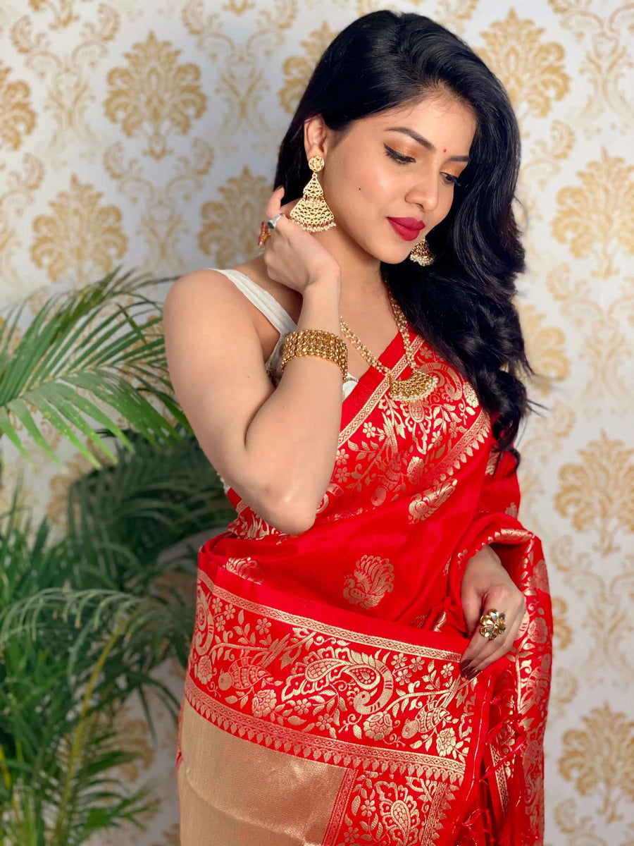 Beige & Brown Handloom Cotton Saree | Kalamkari Pallu, Elephant Motifs & Tassels – Buy Online